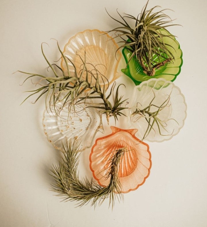 Happy Birthday Air Plant & Candle Gift Box