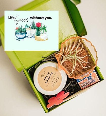 Life Succs Without You Plant & Candle Gift Box