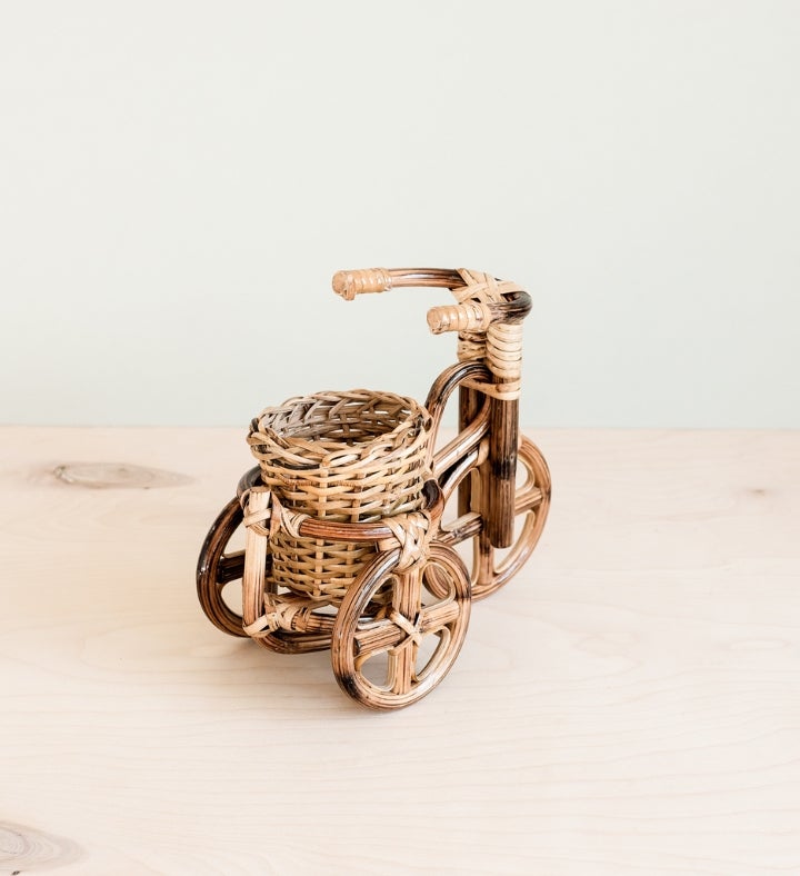 Bicycle Rattan Planter