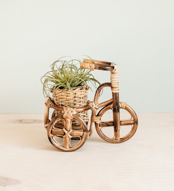 Bicycle Rattan Planter