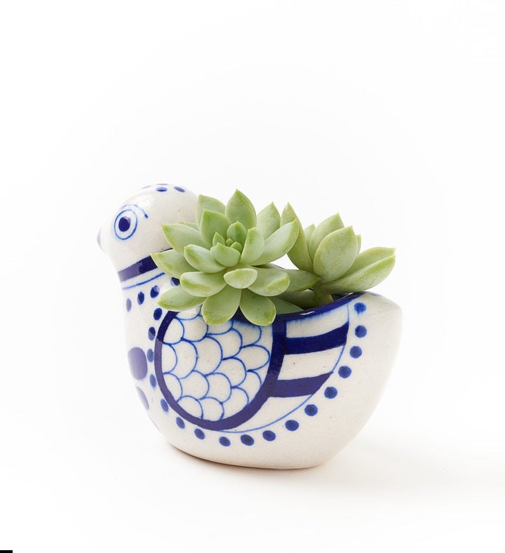 Lalita Indigo Succulent Planter