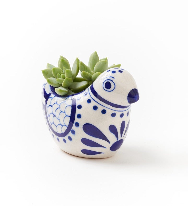 Lalita Indigo Succulent Planter