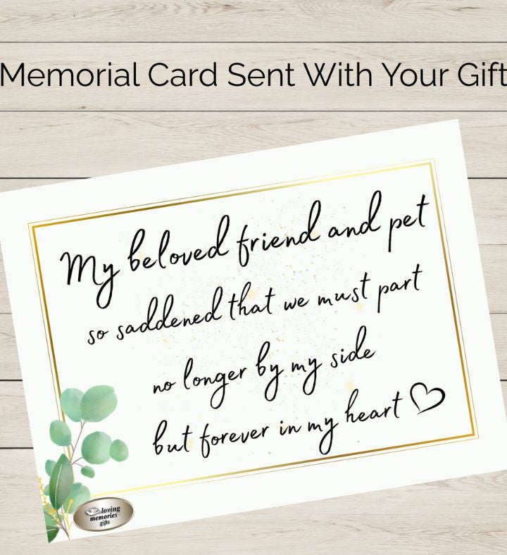 Loss Of Pet Memorial Locket Necklace