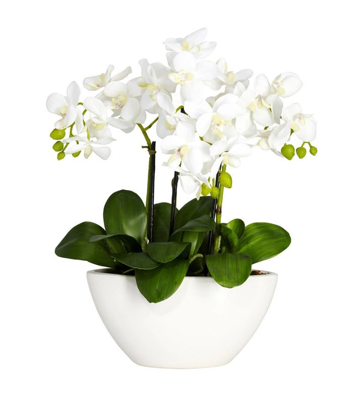 Nearly Natural Artificial Phalaenopsis Arrangement