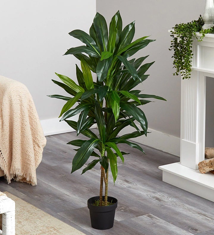 Nearly Natural 48" Dracaena Silk Plant (real Touch)