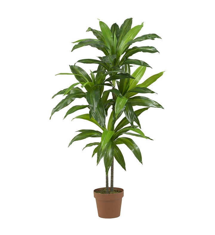 Nearly Natural 48' Dracaena Silk Plant - Thumbnail 2