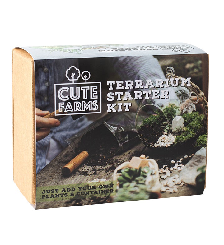 Terrarium Starter Kit