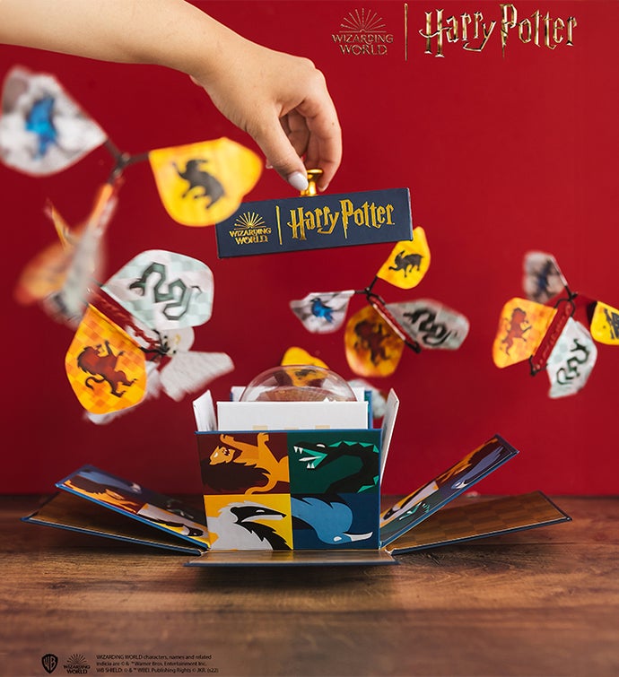 Harry Potter Hogwarts Explosion Box W/ Chocolate Cake