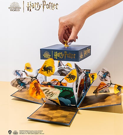 Harry Potter Hogwarts Explosion Box W/ Chocolate Cake