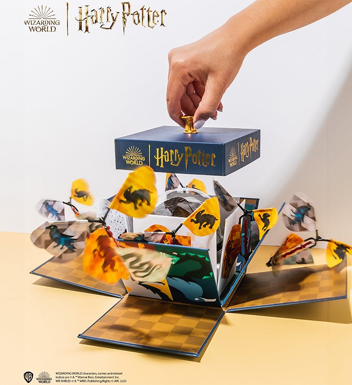 Harry Potter Hogwarts Explosion Box Chocolate Cake Marketplace 