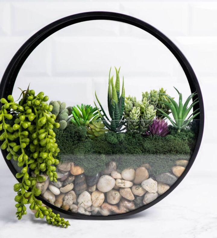 At Home Diy Wall Terrarium Kit