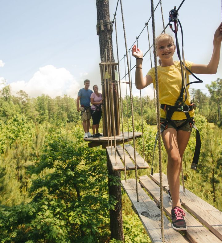 Treetop Adventure With Go Ape - Illinois