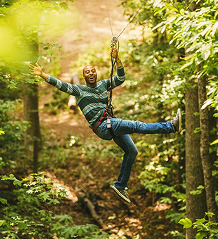 Treetop Adventure With Go Ape