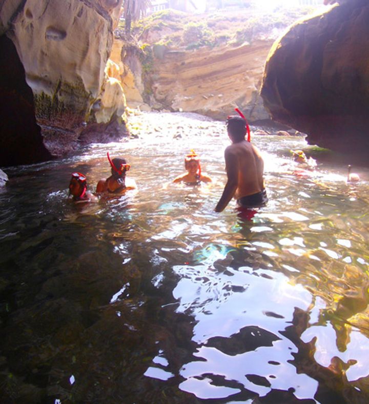 Snorkel And Paddle - California