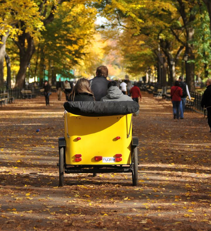 Central Park Zippy Pedicab Tour For Two