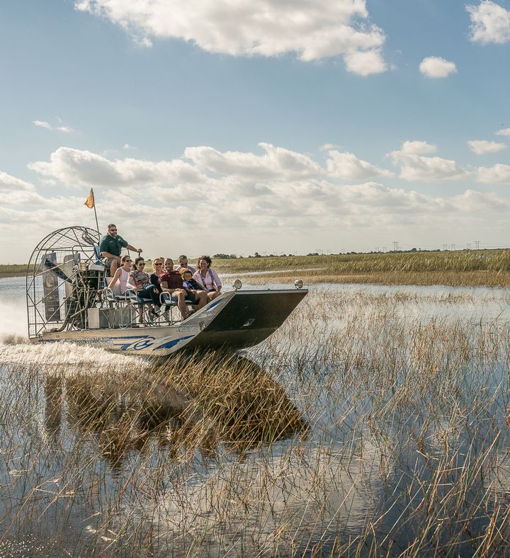 Everglades Airboat Ride And Animal Sanctuary Visit