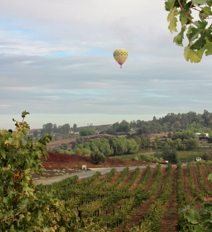 Temecula Sunrise Balloon Ride