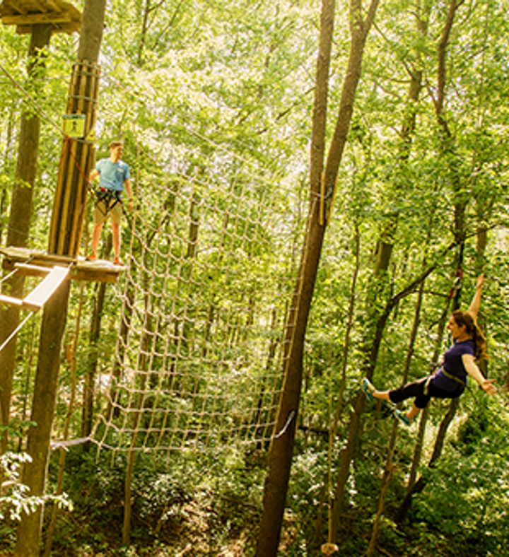 Treetop Adventure With Go Ape For Two - Texas