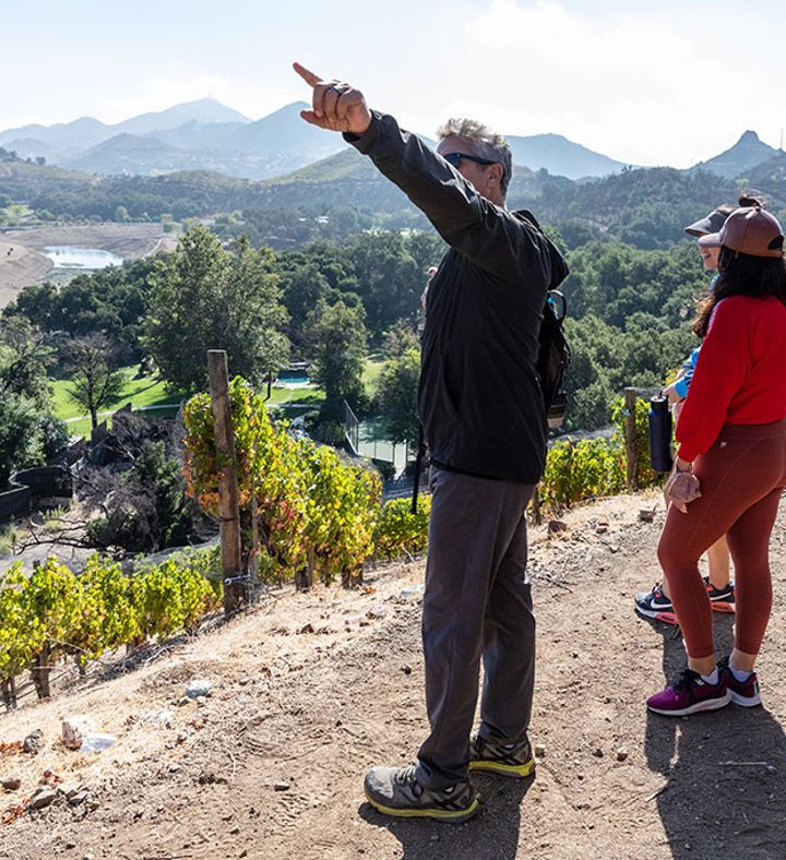 Scenic Vineyard Hike - California