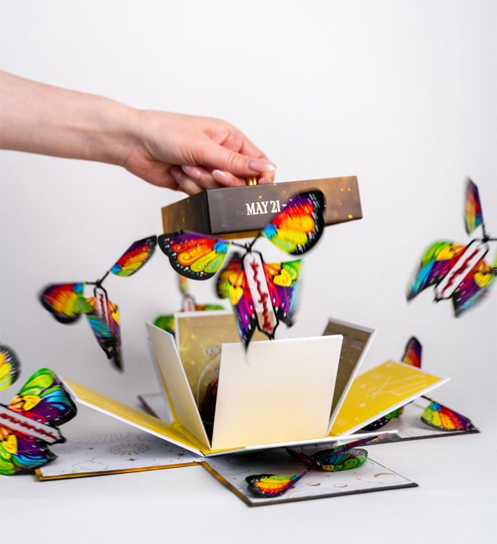 Gemini Birthday Gift W/ Butterfly Surprise And Cake