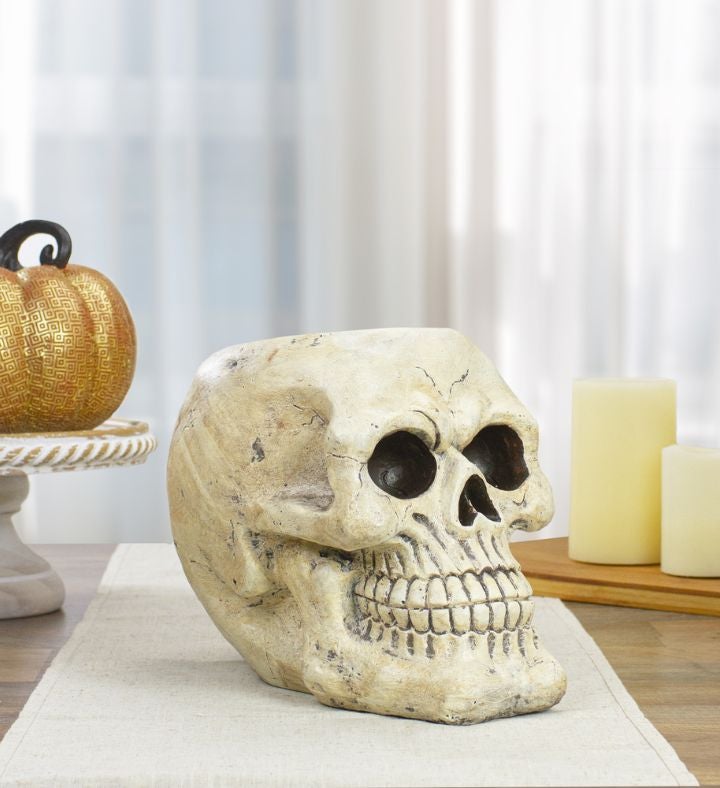 Halloween Skull Decoration - 11" - Ivory And Black