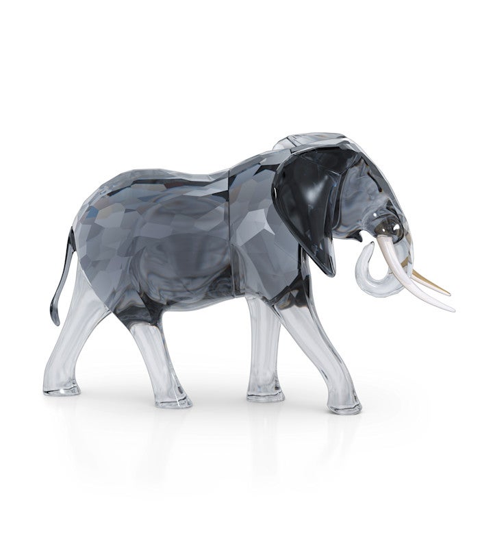 Elegance Of Africa Elephant Bull