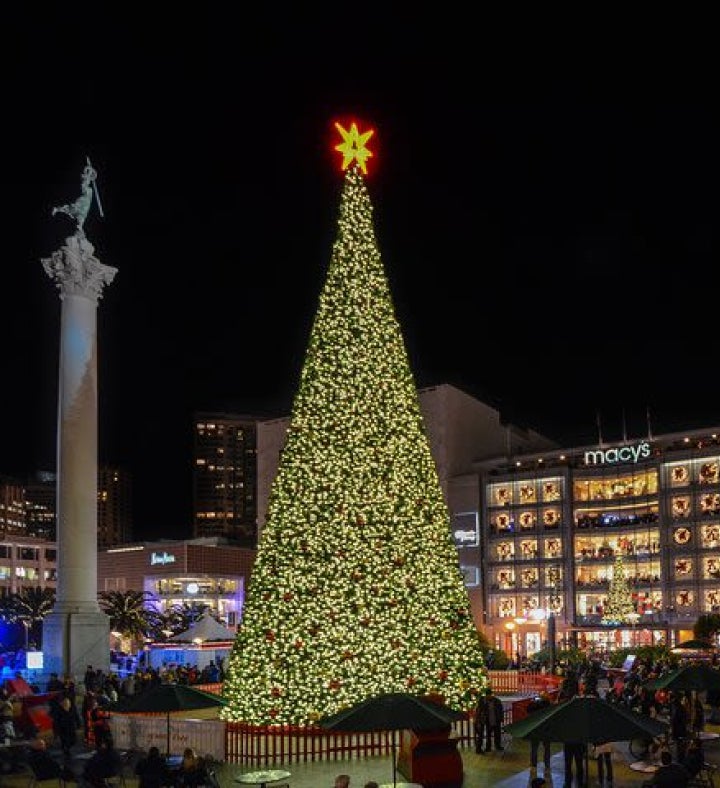 Private Holiday Lights jeep Tour For Up To 6 People   San Francisco