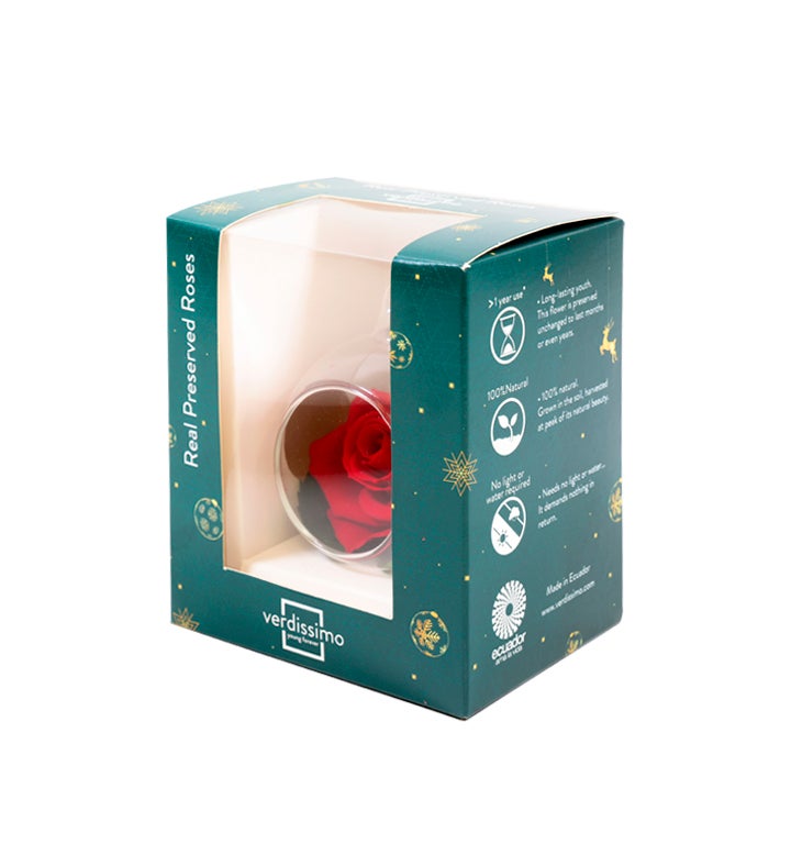 Christmas Glass Ornament