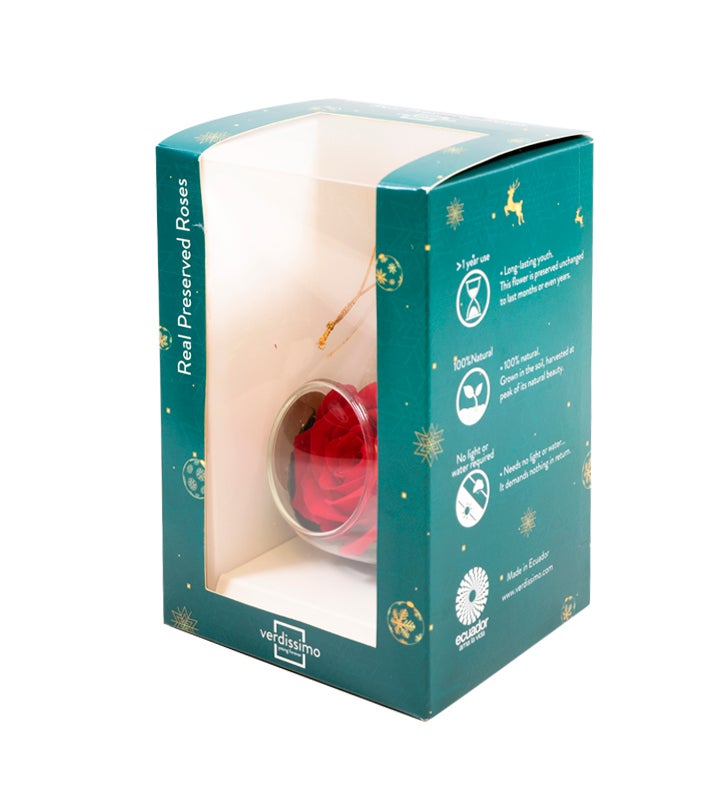 Christmas Glass Ornament