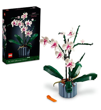 Sweetheart Bamboo and Orchid Garden