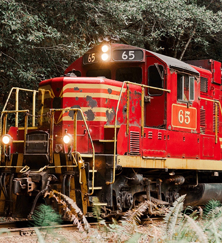 Redwoods Adventure: Train Ride To Secluded Glen Blair Bar For 2- California