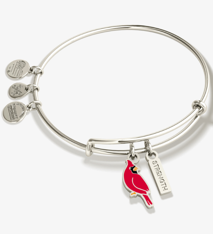 'Strength' Cardinal Duo Charm Bangle Bracelet