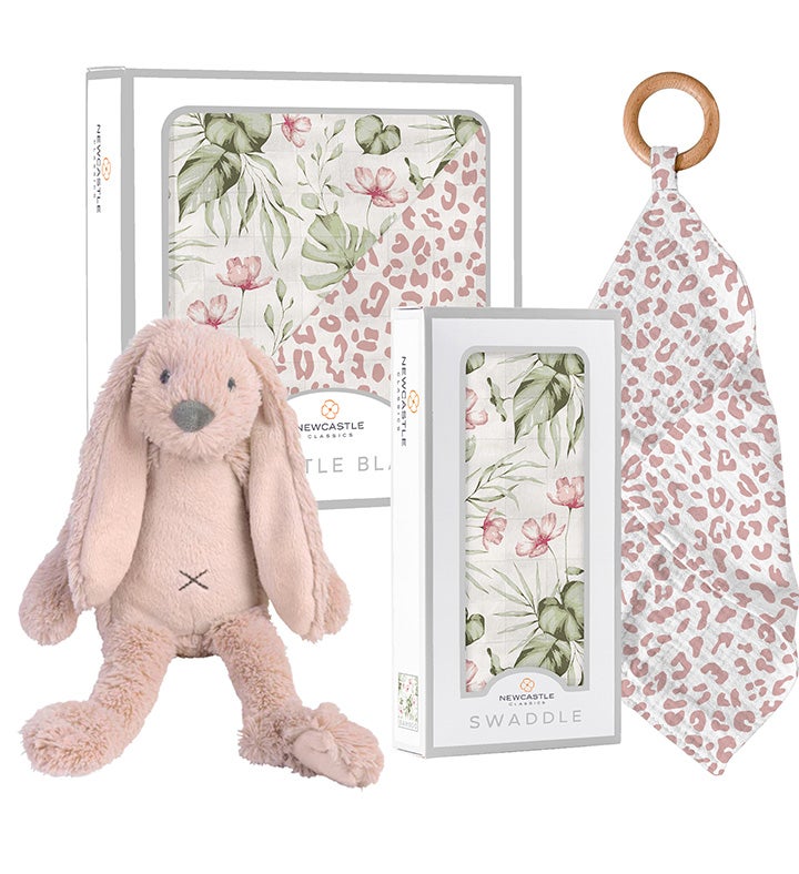 Pink Orchid And Green Dinosaur Gift Box Set