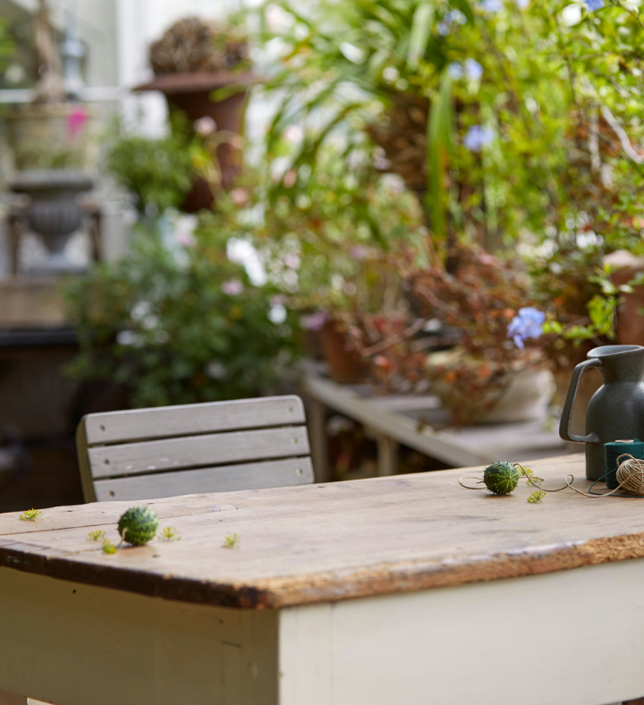 Lego Bonsai Tree 10281 Building Kit (878 Pieces)