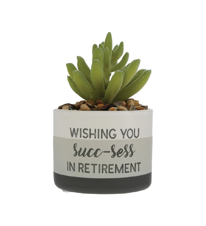 "Wishing You Succ-ess in Retirement" Faux Succulent