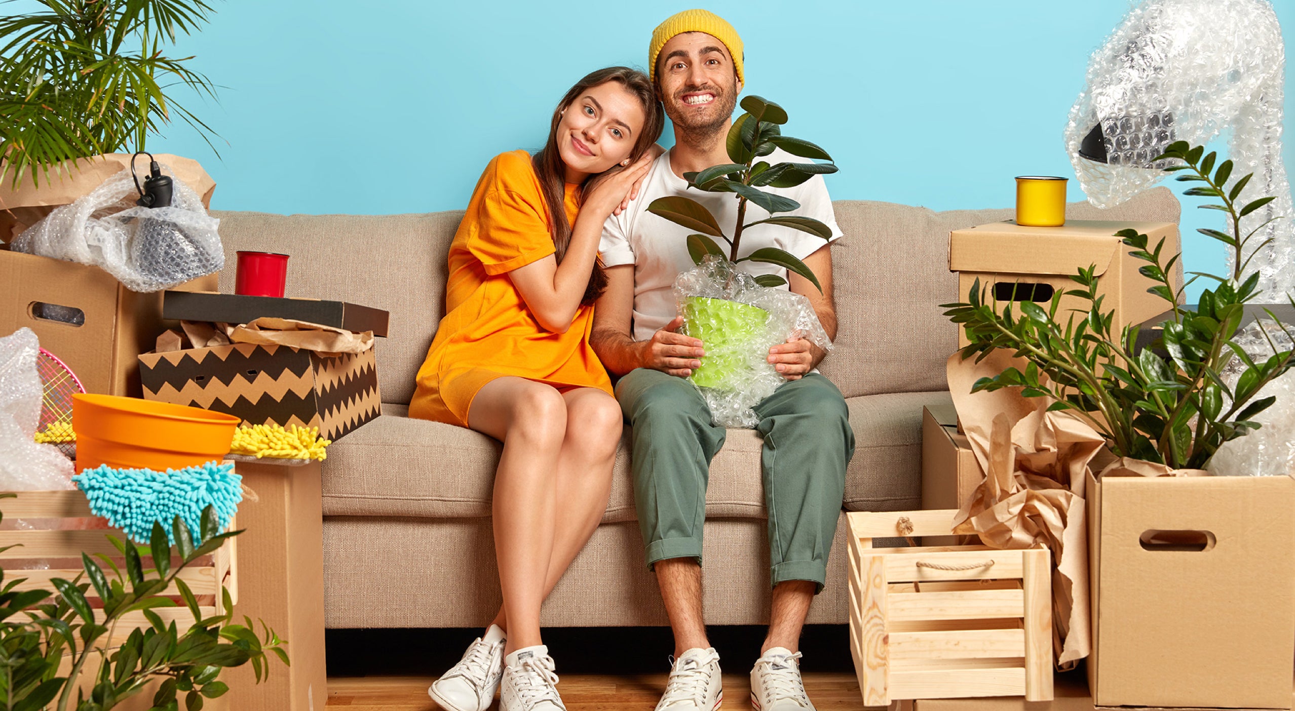 Shop For House Plants