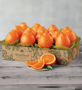 Cushman39s174 Florida HoneyBells - One Tray