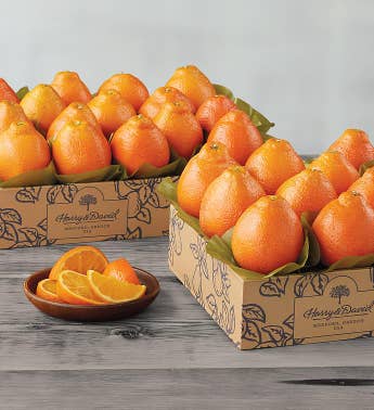 Western HoneyBells - Two Trays