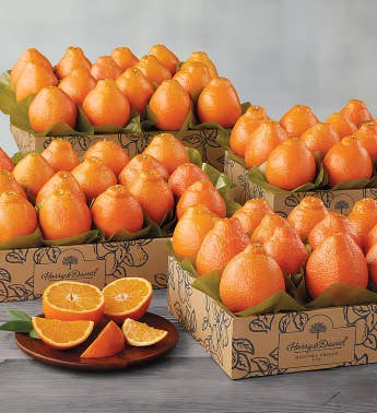 Western HoneyBells - Four Trays