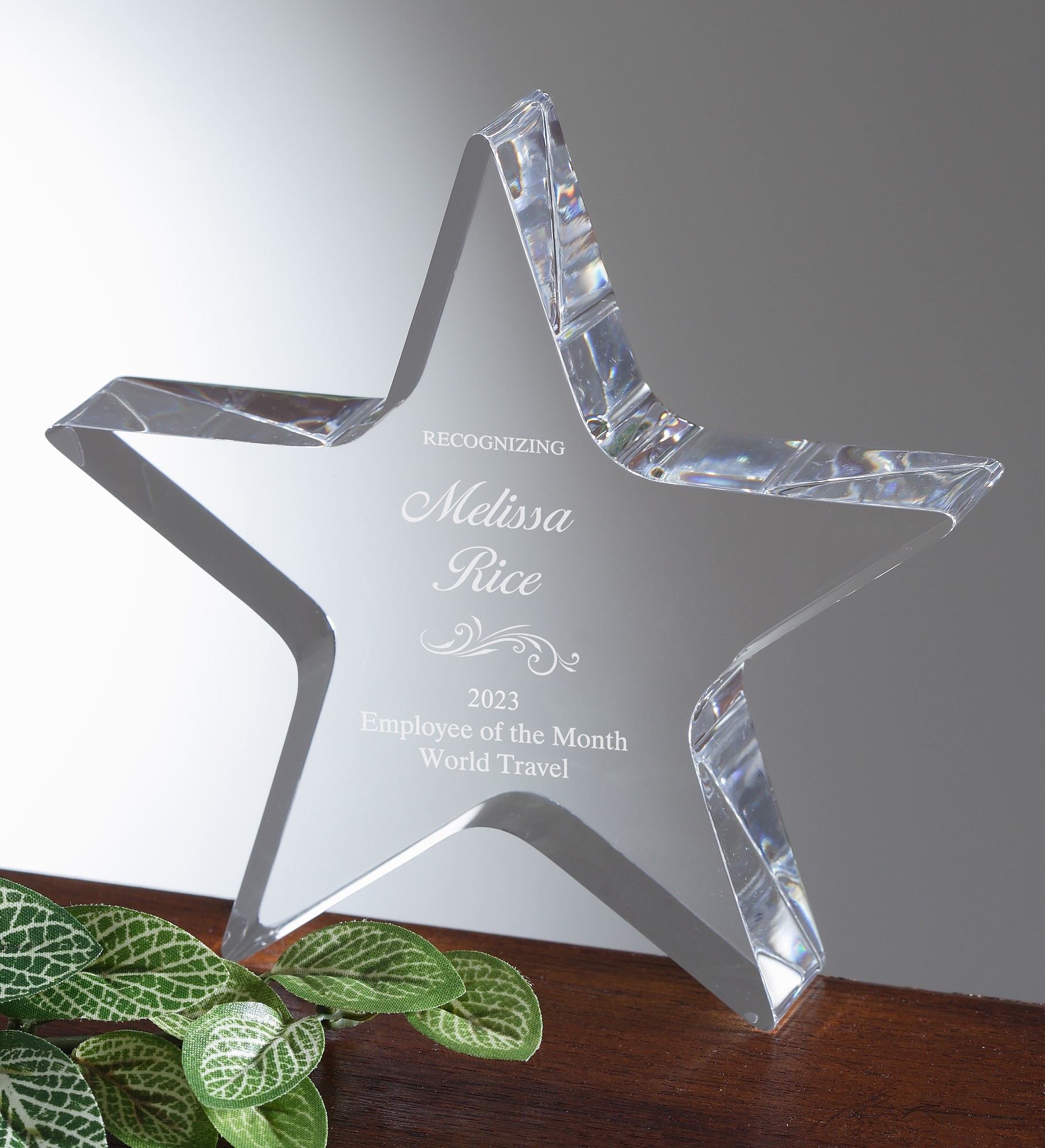 Reflections of Excellence Personalized Star Award