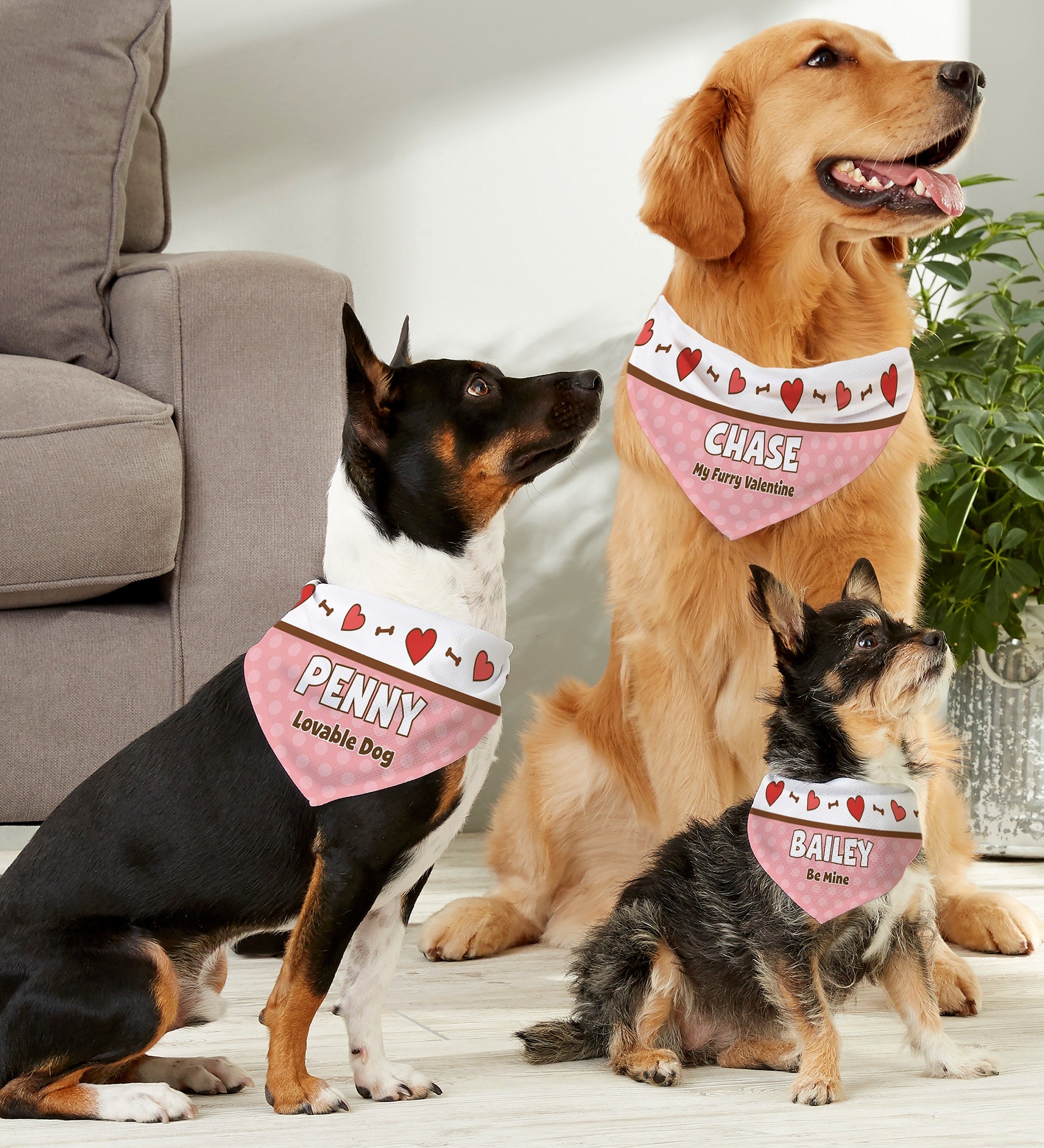 Be My Valentine Personalized Bandana