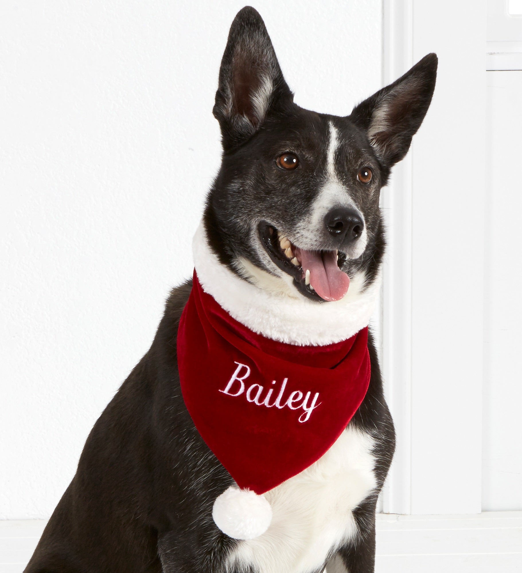 Santa Paws Personalized Velvet Dog Bandana