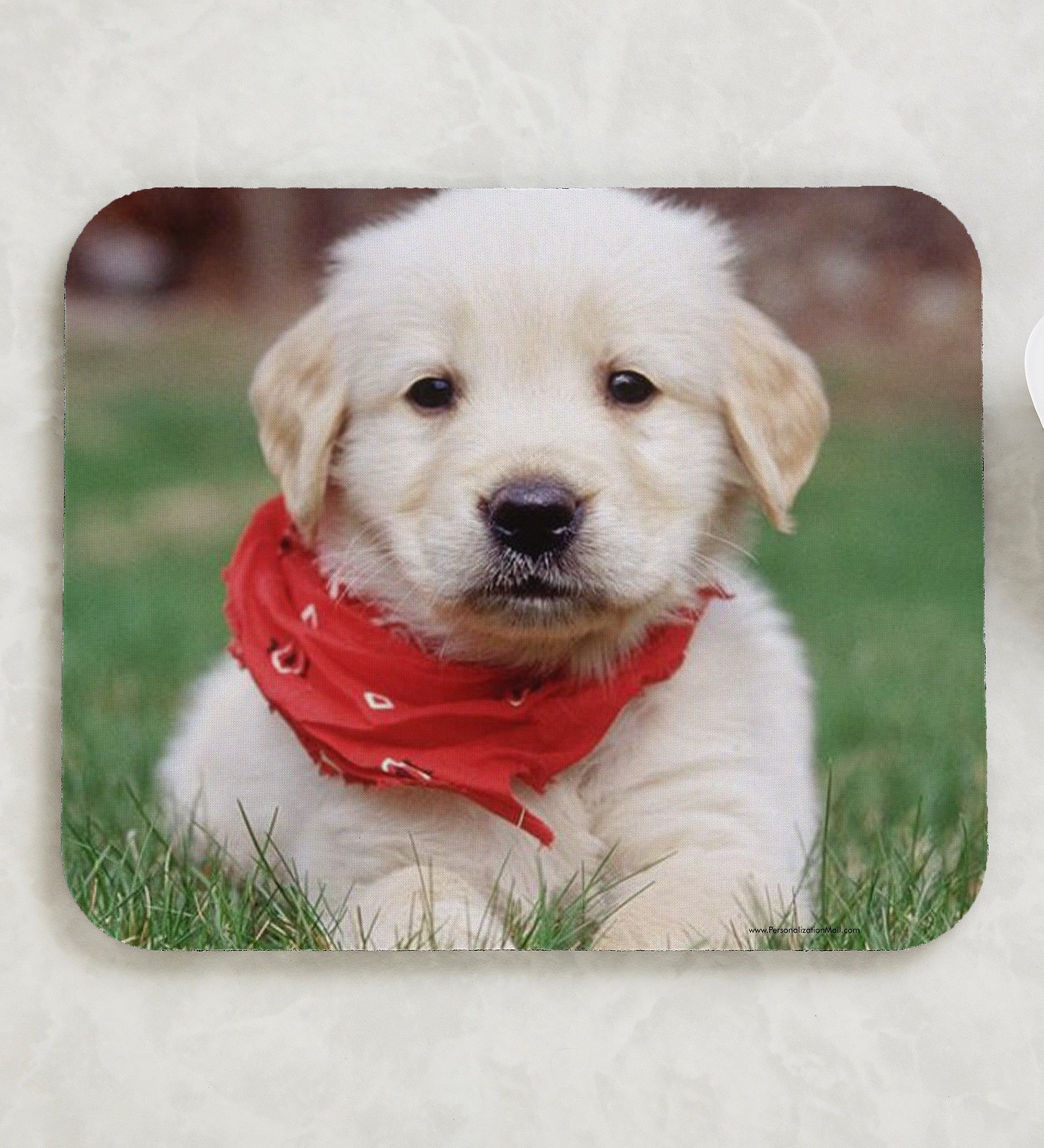 Pet Photo Personalized Mouse Pad