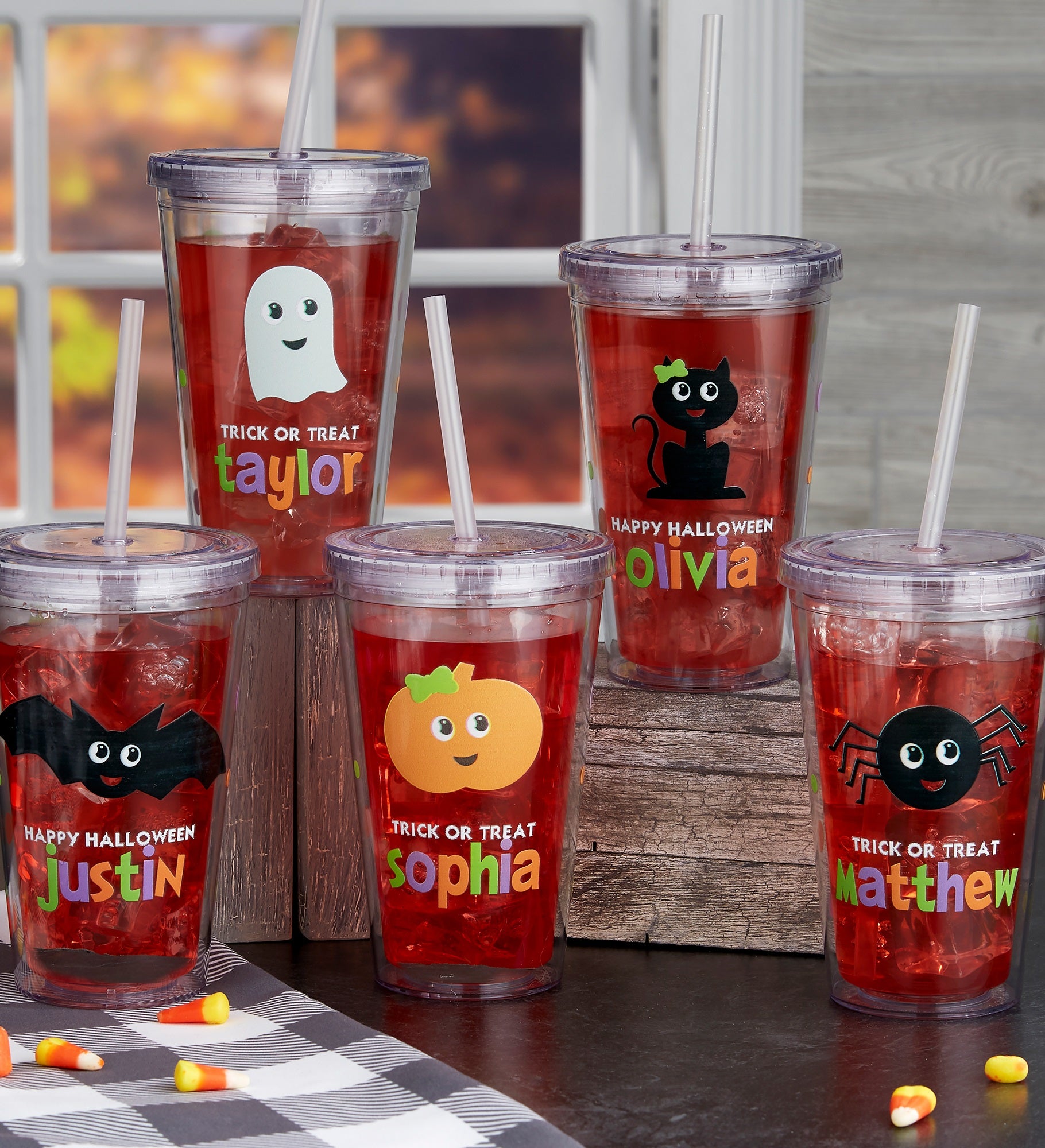 Halloween Character Personalized 17 oz. Insulated Acrylic Tumbler