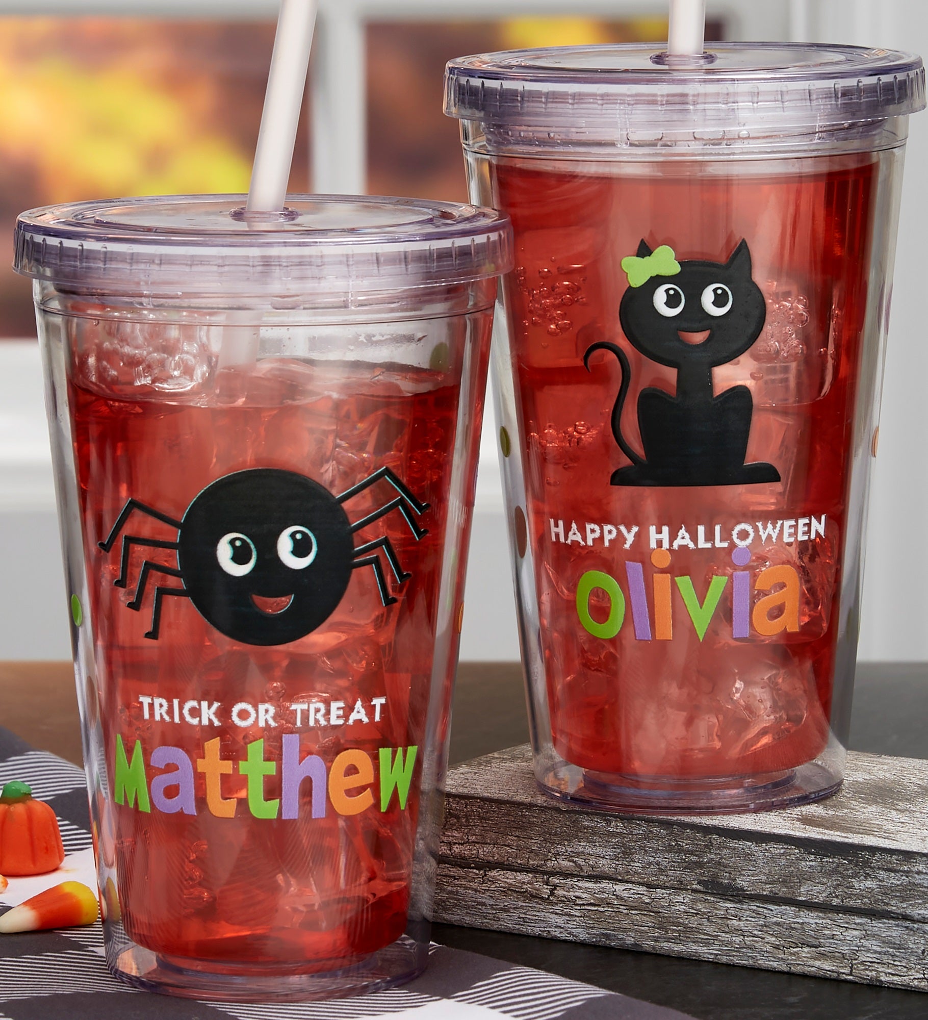 Halloween Character Personalized 17 oz. Insulated Acrylic Tumbler