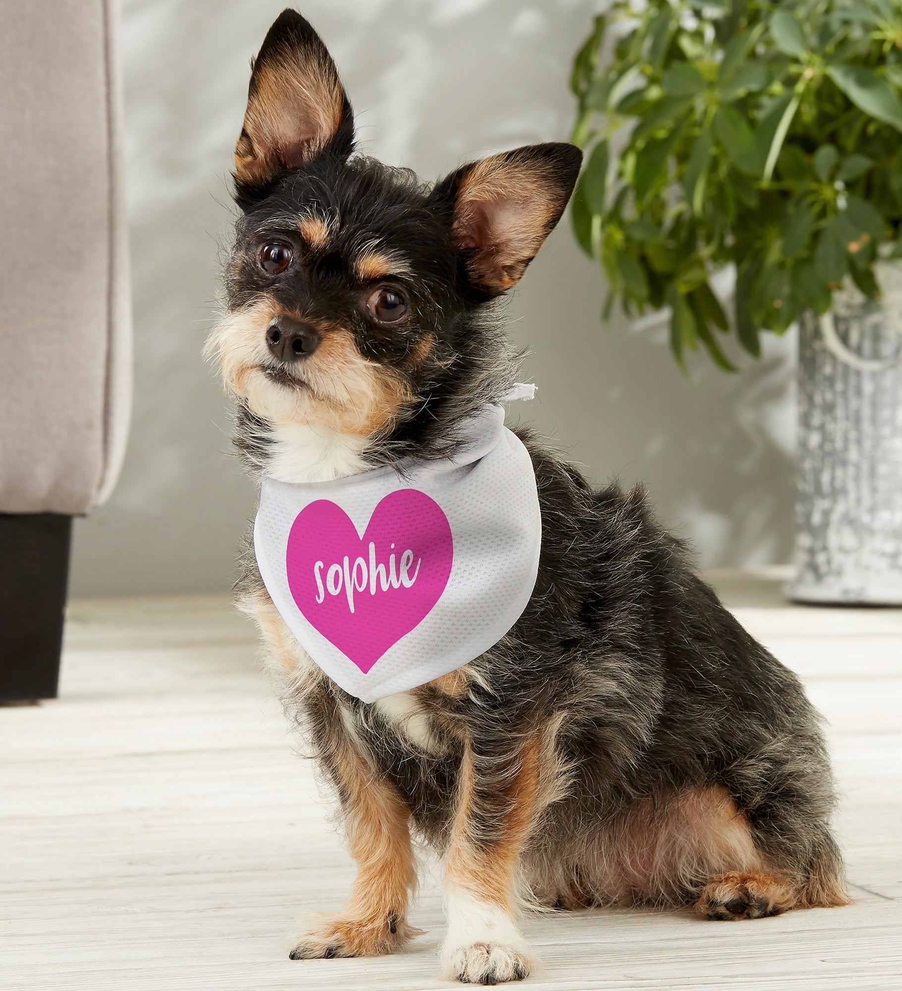 Heart Name Personalized Dog Bandana
