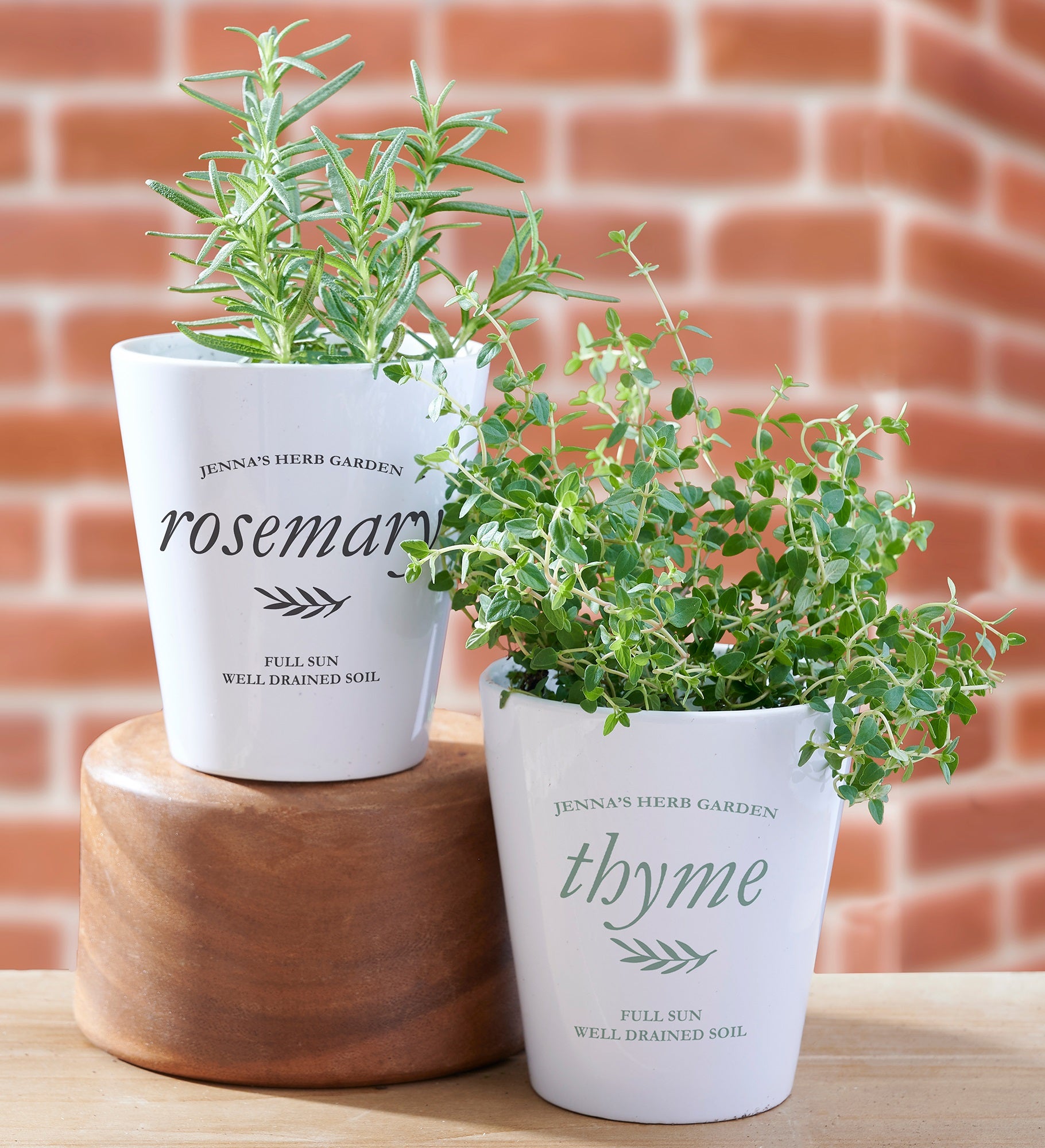Herb Garden Personalized Mini Flower Pot