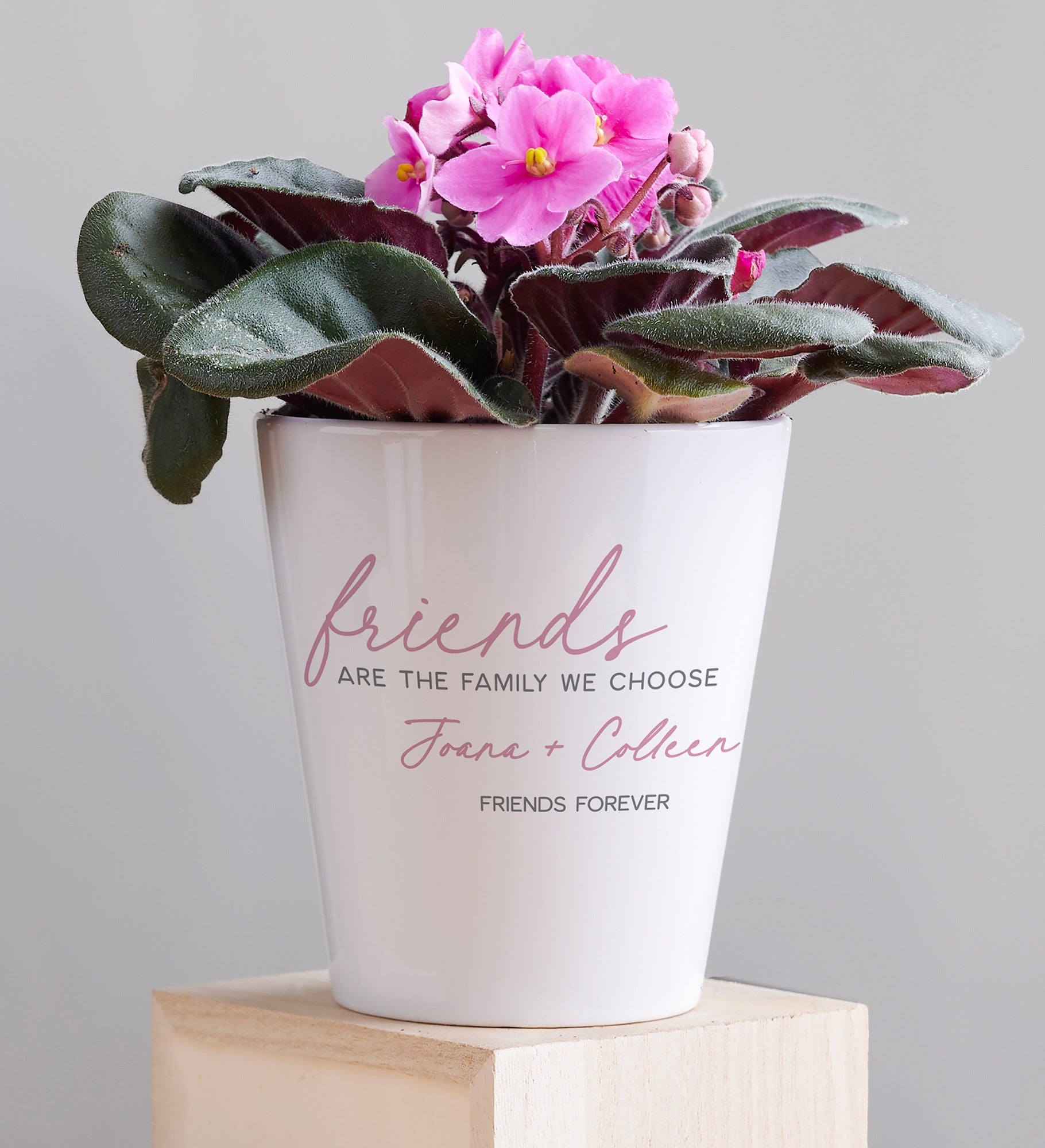 Friends Are The Family We Choose Personalized Mini Flower Pot
