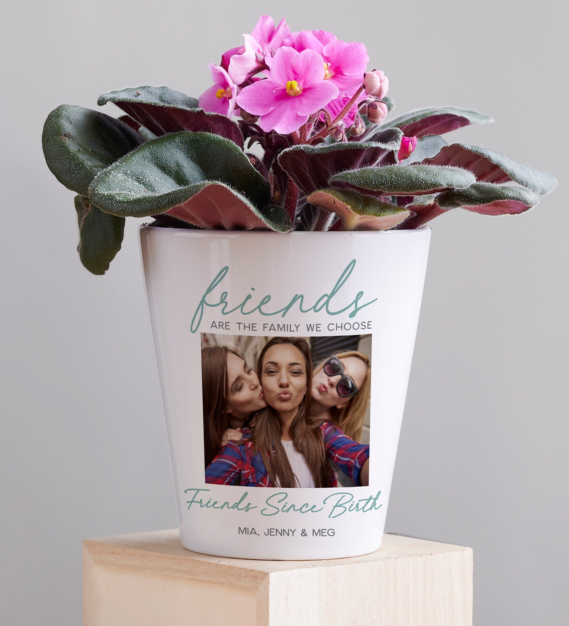 44203-131564-240523115629