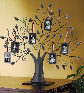 Tree of Life  Memories